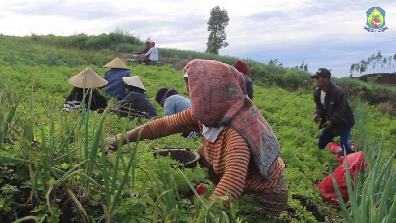 Pemandangan Jenetallasa
