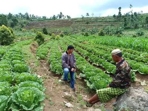 Pemandangan Loka